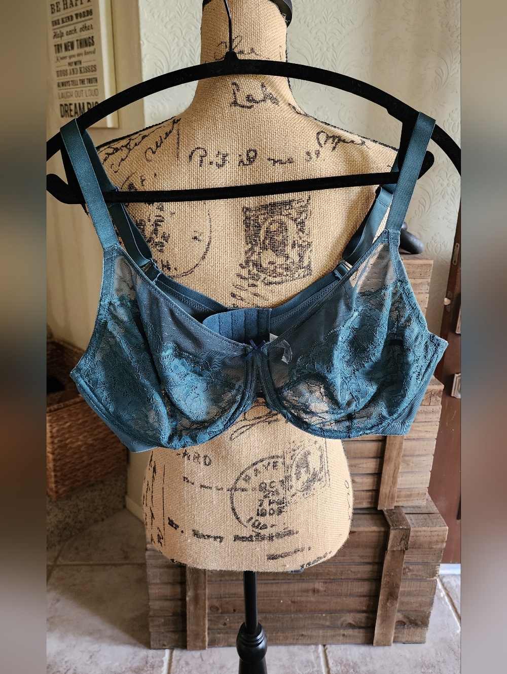 HSIA Lace Underwire Bra in Teal-NWOT